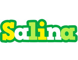 Salina soccer logo