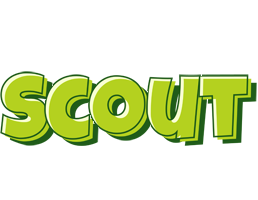 Scout summer logo