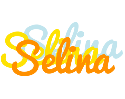 Selina energy logo