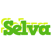 Selva picnic logo