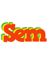 Sem bbq logo