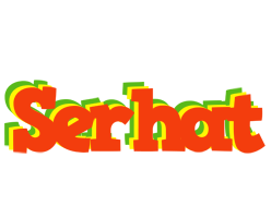 Serhat bbq logo