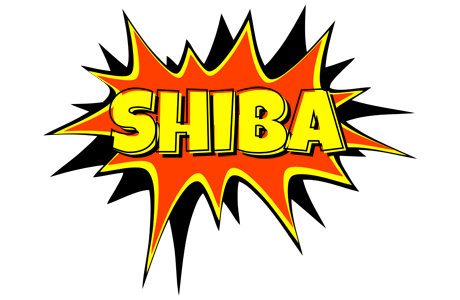 Shiba bazinga logo