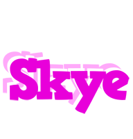 Skye rumba logo