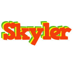 Skyler bbq logo