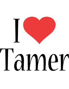 Tamer i-love logo