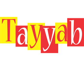 Tayyab errors logo