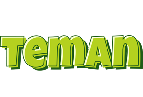 Teman summer logo