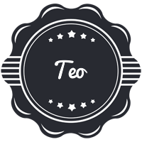 Teo badge logo
