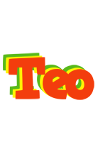 Teo bbq logo