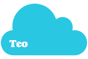 Teo cloud logo