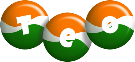 Teo india logo