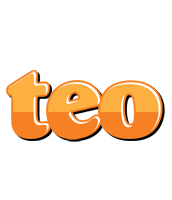Teo orange logo
