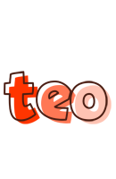 Teo paint logo