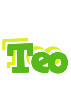 Teo picnic logo
