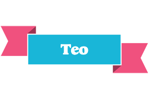 Teo today logo