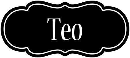 Teo welcome logo