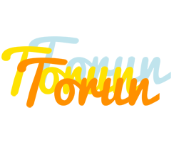 Torun energy logo