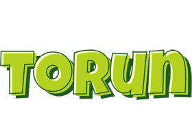 Torun summer logo