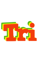 Tri bbq logo