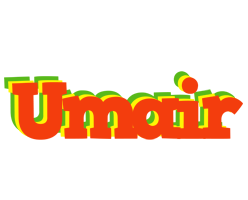 Umair bbq logo