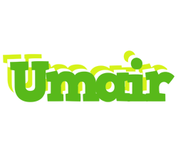 Umair picnic logo