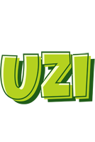 Uzi summer logo
