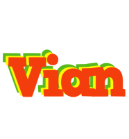 Vian bbq logo