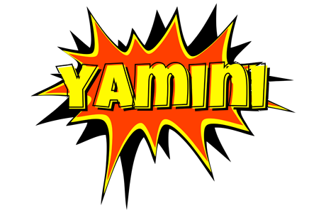 Yamini bazinga logo