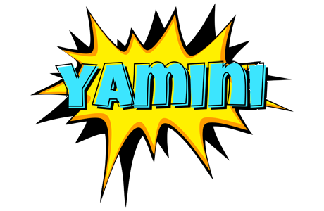 Yamini indycar logo