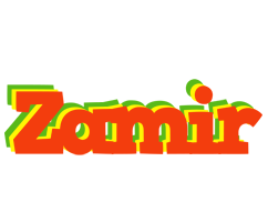 Zamir bbq logo