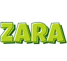 Zara summer logo