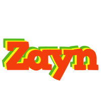 Zayn bbq logo