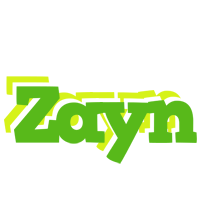 Zayn picnic logo