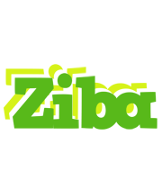 Ziba picnic logo