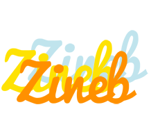 Zineb energy logo