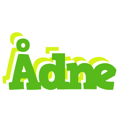 Ådne picnic logo