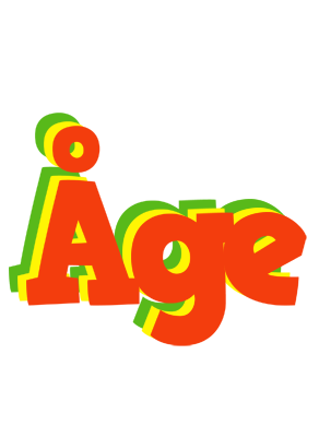 Åge bbq logo