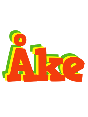 Åke bbq logo