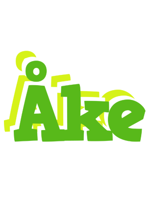 Åke picnic logo