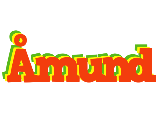 Åmund bbq logo