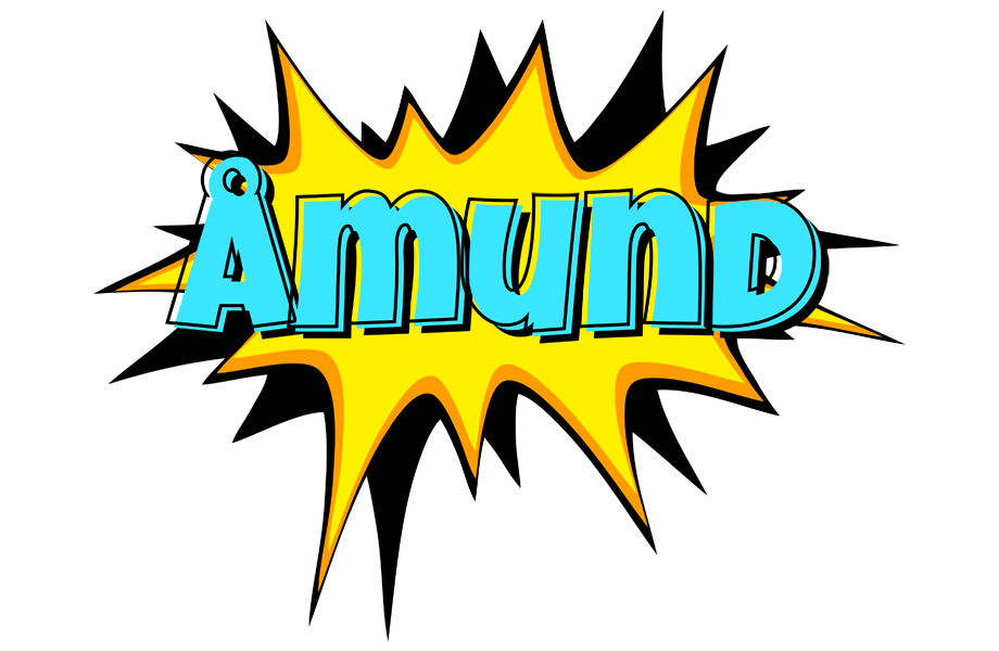 Åmund indycar logo
