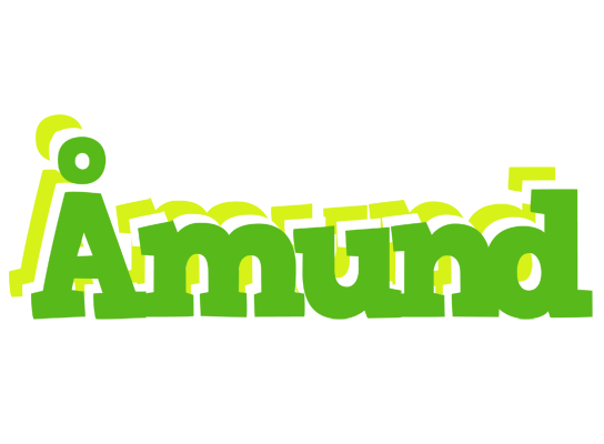 Åmund picnic logo