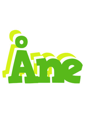 Åne picnic logo