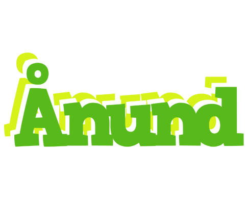 Ånund picnic logo
