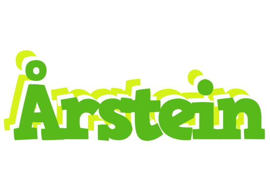 Årstein picnic logo