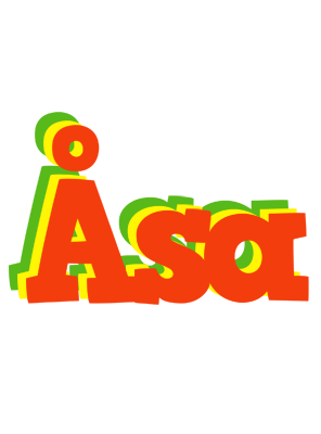 Åsa bbq logo