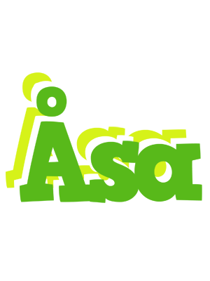 Åsa picnic logo