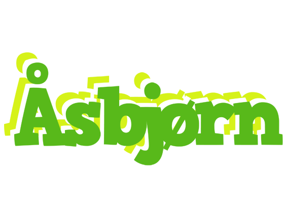 Åsbjørn picnic logo