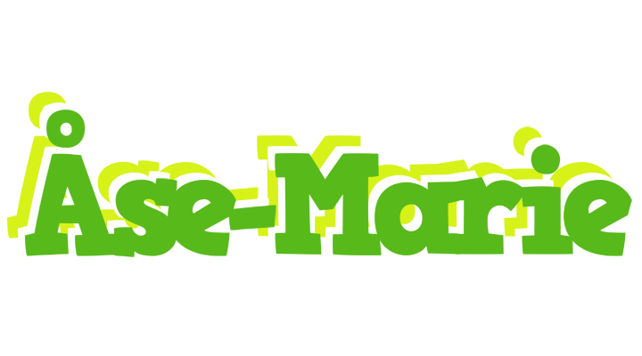 Åse-Marie picnic logo